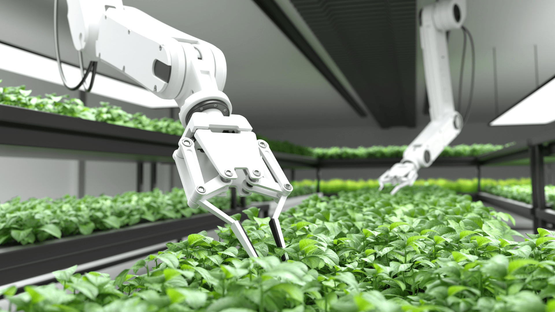 Descripción general de Agricultura y AgriTech